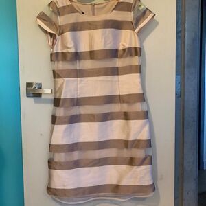 NWT Marie Mero silk blend dress, sheer overlay, fully lined, Sz 4, beige, pink